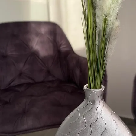 Luxus-flat Wohnung-hanau/frankfurt *